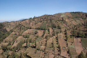 Ngadas at Bromo