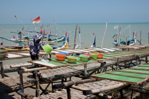 Madura fish factory