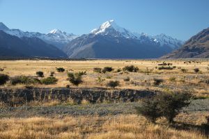 Mt. Cook