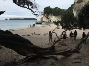 Coromandel peninsula